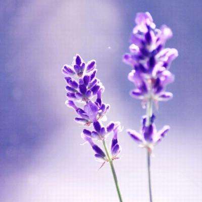 澳门mgm娱乐官网app下载